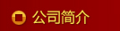 公司简介