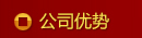公司优势