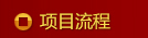 项目流程