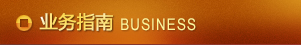 业务指南